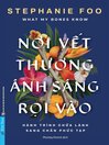 Nơi Vết Thương Ánh Sáng Rọi Vào
